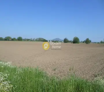 Αγροτεμάχιο 11200τ.μ. προς πώληση φωτογραφία 3643719