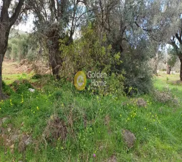 Parcel 1758m<sup>2</sup> for sale photo 3647240