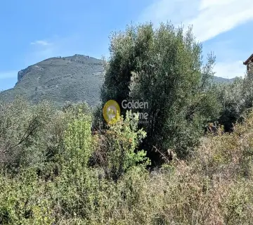 住宅 4768m<sup>2</sup> for sale photo 11