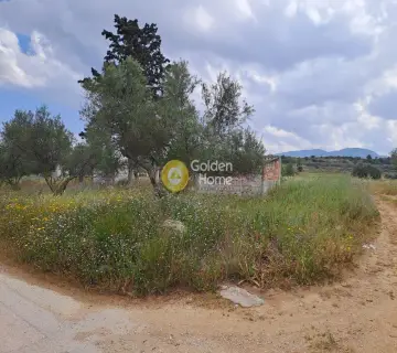 Residential 4500m<sup>2</sup> for sale photo 3643113