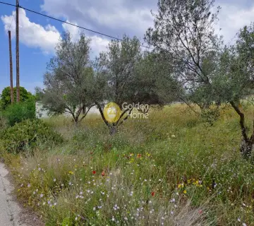 Residential 4500m<sup>2</sup> for sale photo 3643119