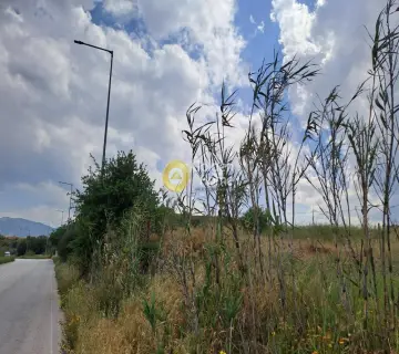 Residential 4500m<sup>2</sup> for sale photo 3643133