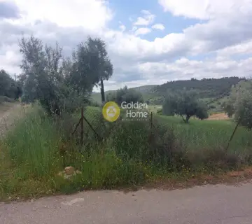 Residential 540m<sup>2</sup> for sale photo 3641787