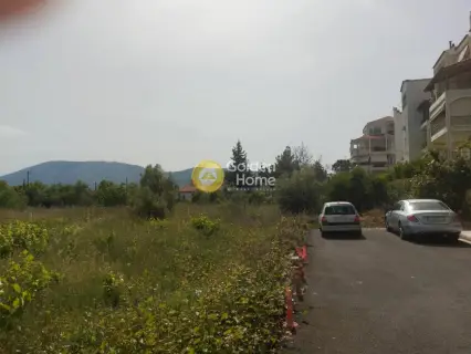 Residential 800m<sup>2</sup> for sale photo 5