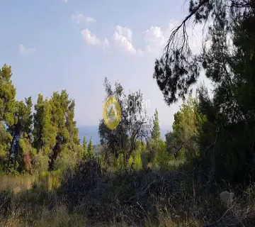 Οικιστικό 4150τ.μ. προς πώληση φωτογραφία 3
