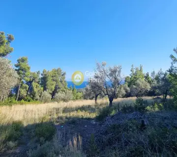 Οικιστικό 4150τ.μ. προς πώληση φωτογραφία 5