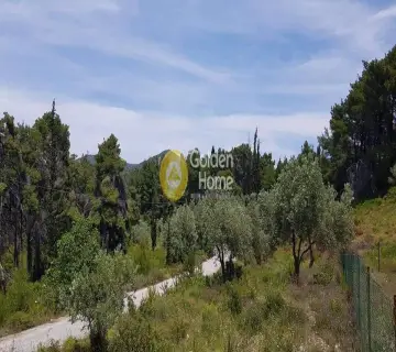 Οικιστικό 4150τ.μ. προς πώληση φωτογραφία 2
