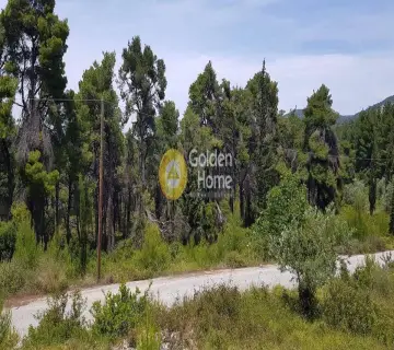 Οικιστικό 4150τ.μ. προς πώληση φωτογραφία 4