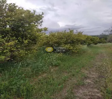 Residential 2774m<sup>2</sup> for sale photo 3682146