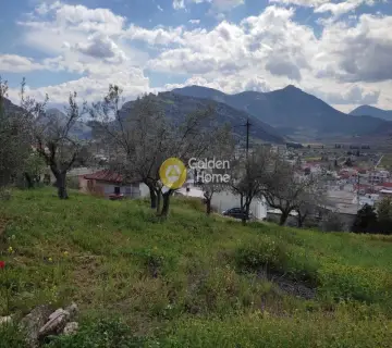 Golden Home Property Image