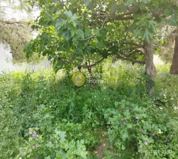Οικιστικό 730τ.μ. προς πώληση φωτογραφία 4