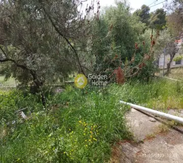 Οικιστικό 730τ.μ. προς πώληση φωτογραφία 5