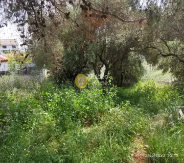 Οικιστικό 730τ.μ. προς πώληση φωτογραφία 6