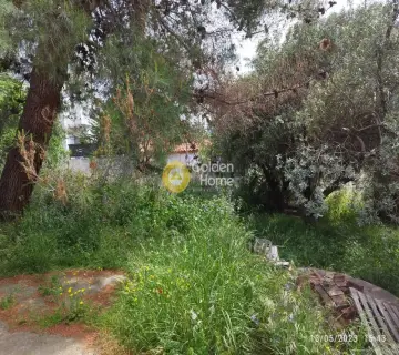 Οικιστικό 730τ.μ. προς πώληση φωτογραφία 7
