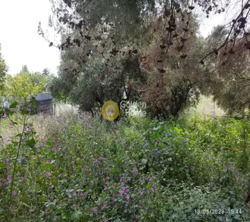 Οικιστικό 730τ.μ. προς πώληση φωτογραφία 11