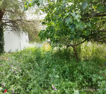 Οικιστικό 730τ.μ. προς πώληση φωτογραφία 12