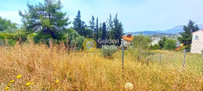 Residential 500m<sup>2</sup> for sale photo 1