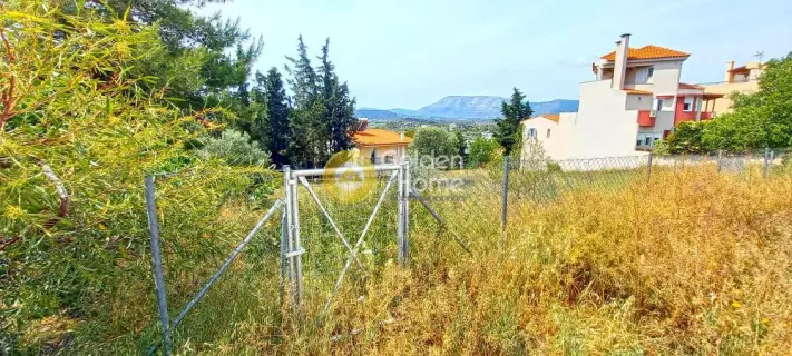 Residential 500m<sup>2</sup> for sale photo 2