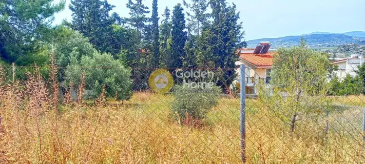 Residential 500m<sup>2</sup> for sale photo 4
