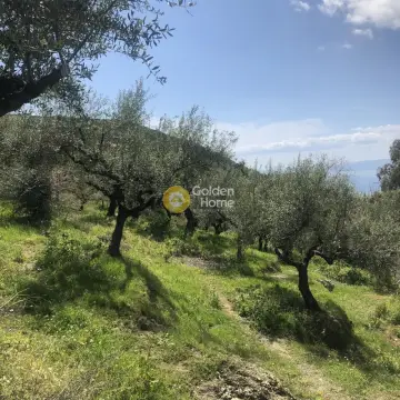 Parcel 4160m<sup>2</sup> for sale photo 4