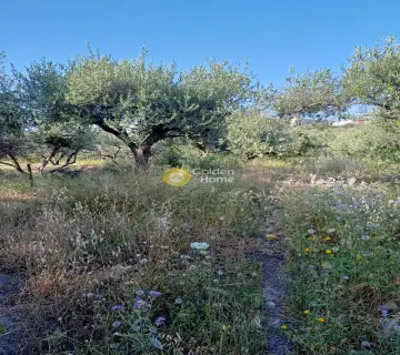 Οικιστικό 1192τ.μ. προς πώληση φωτογραφία 3655063