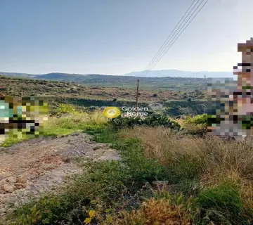 Οικιστικό 1295τ.μ. προς πώληση φωτογραφία 3