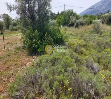 Οικιστικό 550τ.μ. προς πώληση φωτογραφία 3664060