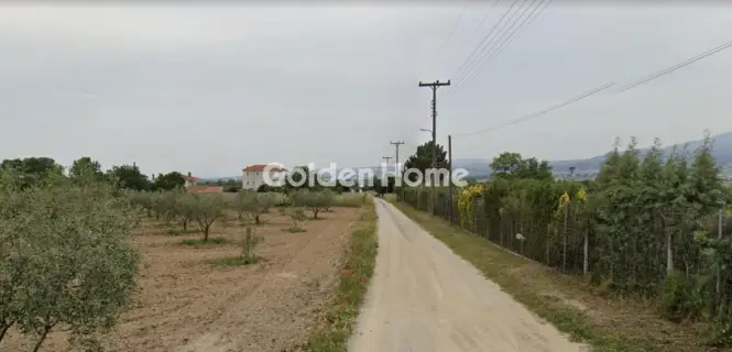 Golden Home Property Image
