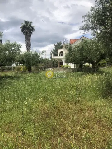 Residential 1000m<sup>2</sup> for sale photo 2