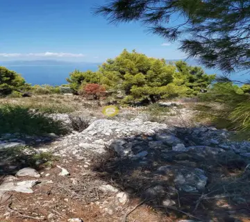 Οικιστικό 1000τ.μ. προς πώληση φωτογραφία 3671338