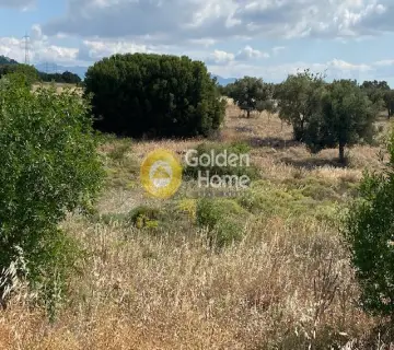 Parcel 1366m<sup>2</sup> for sale photo 3679768