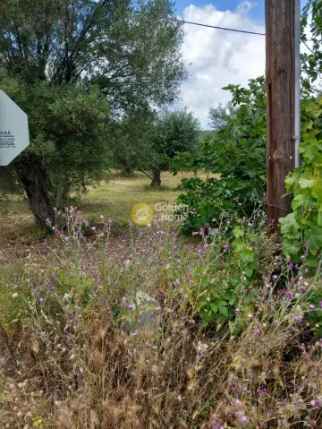 Parcel 2775m<sup>2</sup> for sale photo 4