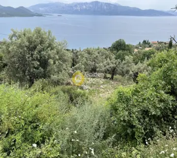 Residential 5400m<sup>2</sup> for sale photo 6