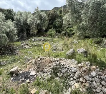 Residential 5400m<sup>2</sup> for sale photo 9