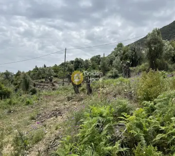 Residential 5400m<sup>2</sup> for sale photo 8