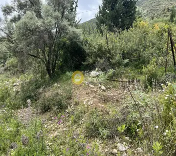 Residential 5400m<sup>2</sup> for sale photo 10