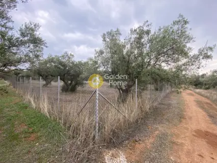 Parcel 5190m<sup>2</sup> for sale photo 9