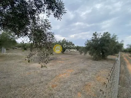 Parcel 5190m<sup>2</sup> for sale photo 10
