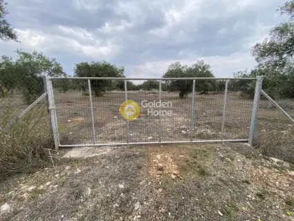 Parcel 5190m<sup>2</sup> for sale photo 20