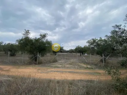 Parcel 5190m<sup>2</sup> for sale photo 23