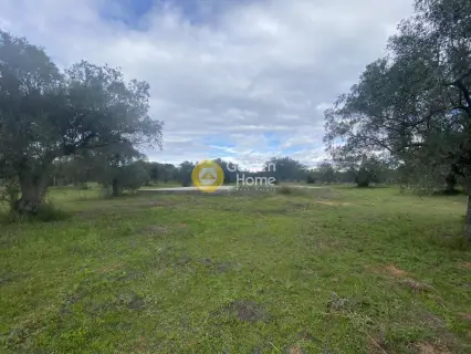 Parcel 5190m<sup>2</sup> for sale photo 34