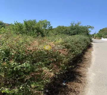 Professional Plot 1507m<sup>2</sup> for sale photo 5
