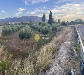 Επαγγελ. Οικόπεδο 6500τ.μ. προς πώληση φωτογραφία 2