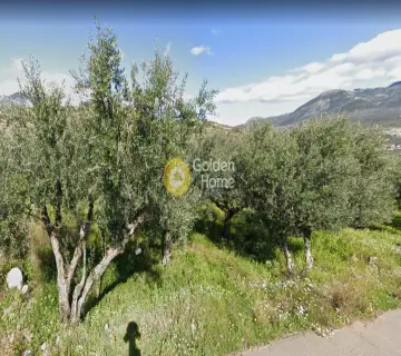Residential 2125m<sup>2</sup> for sale photo 3668523