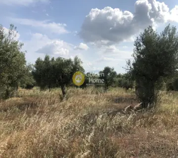 Parcel 3500m<sup>2</sup> for sale photo 3668570