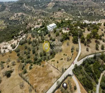 Golden Home Property Image