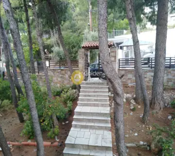 Μονοκατοικία 320τ.μ. προς πώληση φωτογραφία 17