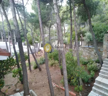 Μονοκατοικία 320τ.μ. προς πώληση φωτογραφία 19