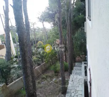 Μονοκατοικία 320τ.μ. προς πώληση φωτογραφία 21