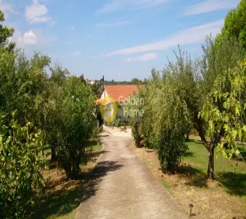 Golden Home Property Image